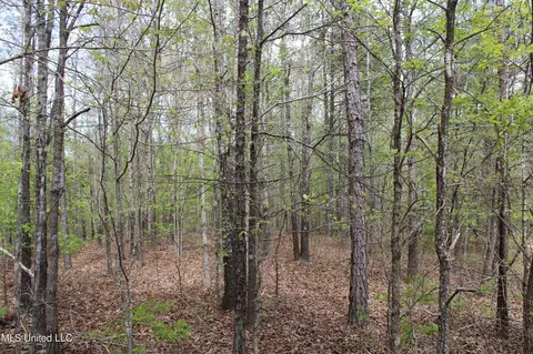 5200 Blackjack Rd, Ashland, MS 38603 photo 34