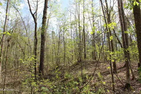 5200 Blackjack Rd, Ashland, MS 38603 photo 45