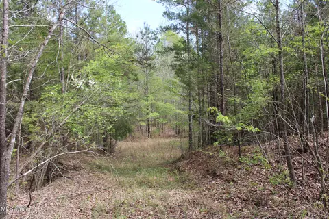 5200 Blackjack Rd, Ashland, MS 38603 photo 19
