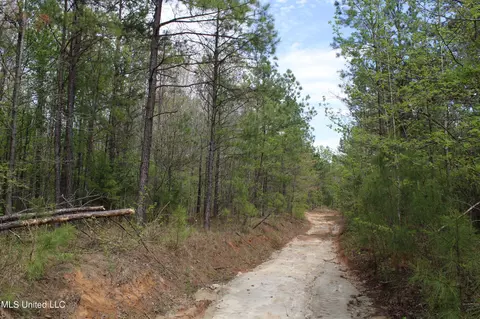 5200 Blackjack Rd, Ashland, MS 38603 photo 33