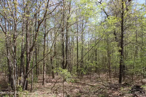 5200 Blackjack Rd, Ashland, MS 38603 photo 30