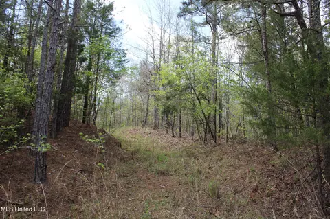5200 Blackjack Rd, Ashland, MS 38603 photo 41