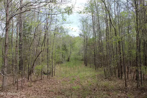 5200 Blackjack Rd, Ashland, MS 38603 photo 40