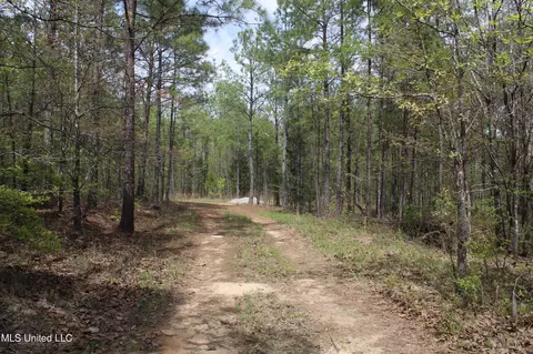 5200 Blackjack Rd, Ashland, MS 38603