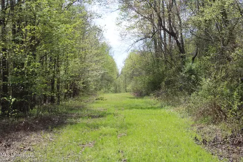 5200 Blackjack Rd, Ashland, MS 38603 photo 27