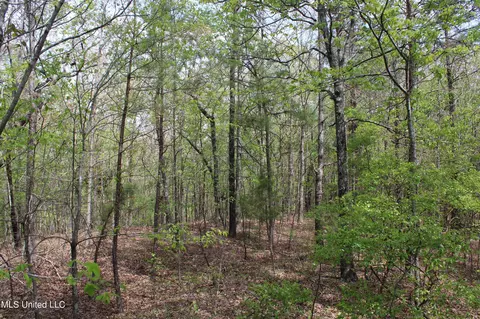 5200 Blackjack Rd, Ashland, MS 38603 photo 8