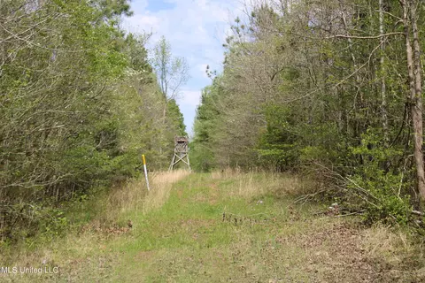 5200 Blackjack Rd, Ashland, MS 38603 photo 26