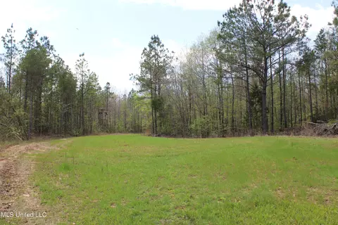 5200 Blackjack Rd, Ashland, MS 38603 photo 18