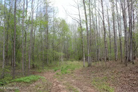5200 Blackjack Rd, Ashland, MS 38603 photo 20