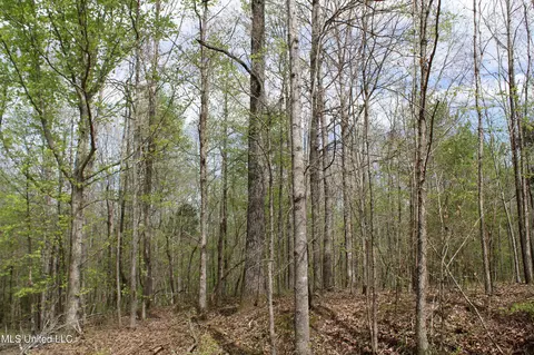 5200 Blackjack Rd, Ashland, MS 38603 photo 42