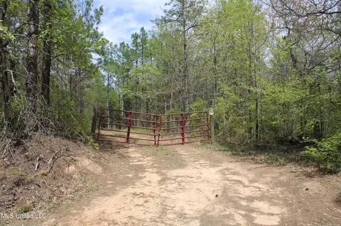 5200 Blackjack Rd, Ashland, MS 38603 photo 12