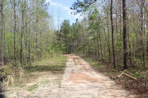 5200 Blackjack Rd, Ashland, MS 38603 photo 37