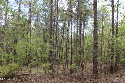 5200 Blackjack Rd, Ashland, MS 38603 photo 14