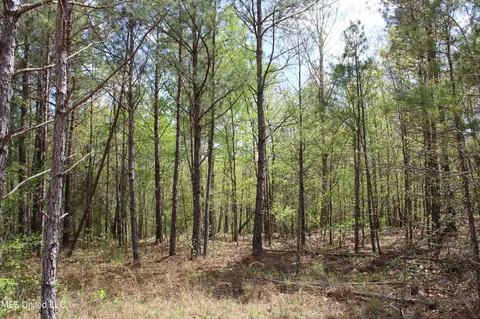 5200 Blackjack Rd, Ashland, MS 38603 photo 32