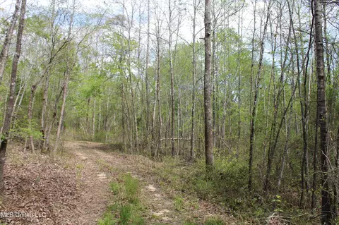 5200 Blackjack Rd, Ashland, MS 38603 photo 44