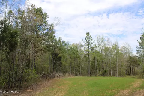5200 Blackjack Rd, Ashland, MS 38603 photo 17