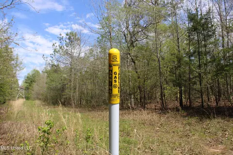 5200 Blackjack Rd, Ashland, MS 38603 photo 29