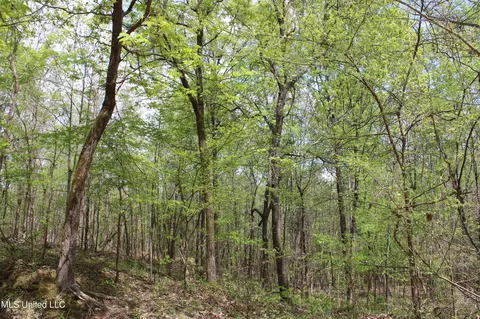 5200 Blackjack Rd, Ashland, MS 38603 photo 11