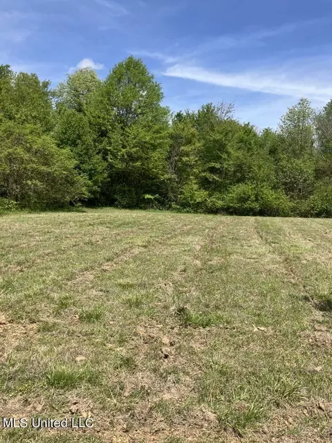 lot9 Wiseman Dr, Olive Branch, MS 38654