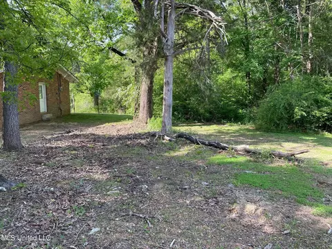 Exterior - 7420 County Line Rd, Carthage, MS 39051 photo 4 of 7