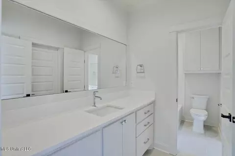 Bath - 260 Disciple Dr, Brandon, MS 39047 photo 8 of 8
