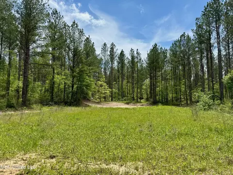 1 Permenter Rd, Camden, MS 39045