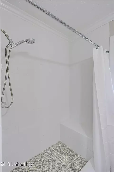 Bath - 51 Summit Ridge Dr, Brandon, MS 39042 photo 4 of 4