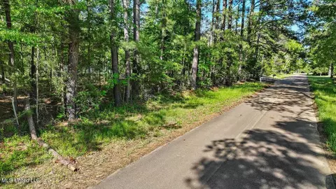 0 Worrell Rd, Utica, MS 39175 photo 23