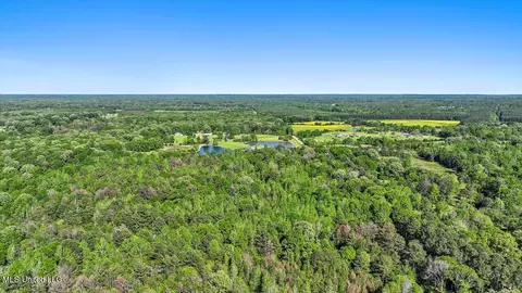 0 Worrell Rd, Utica, MS 39175 photo 11