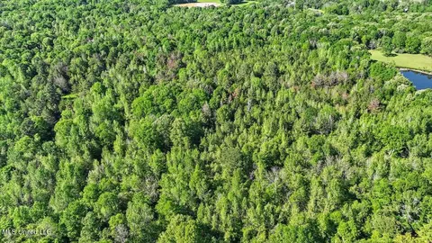 0 Worrell Rd, Utica, MS 39175 photo 7