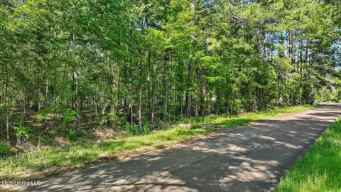0 Worrell Rd, Utica, MS 39175 photo 2
