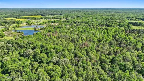 0 Worrell Rd, Utica, MS 39175 photo 8
