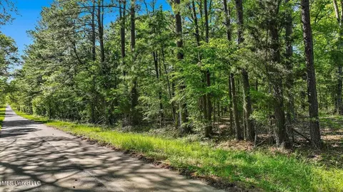 0 Worrell Rd, Utica, MS 39175 photo 3