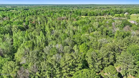 0 Worrell Rd, Utica, MS 39175 photo 20