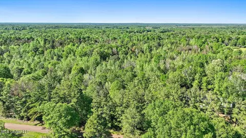 0 Worrell Rd, Utica, MS 39175 photo 18
