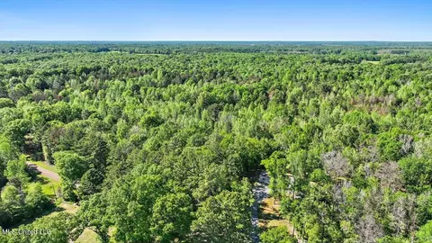 0 Worrell Rd, Utica, MS 39175 photo 16