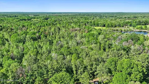 0 Worrell Rd, Utica, MS 39175 photo 17