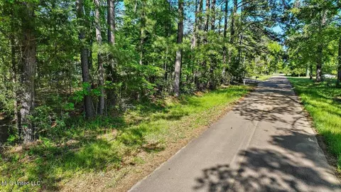 0 Worrell Rd, Utica, MS 39175 photo 22