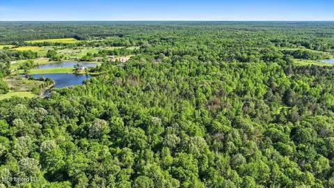 0 Worrell Rd, Utica, MS 39175 photo 9