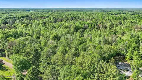 0 Worrell Rd, Utica, MS 39175 photo 19