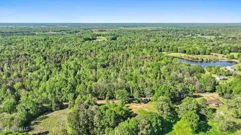 0 Worrell Rd, Utica, MS 39175 photo 13