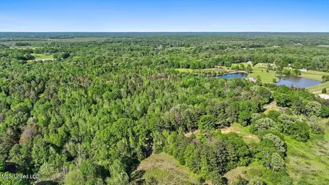0 Worrell Rd, Utica, MS 39175 photo 12