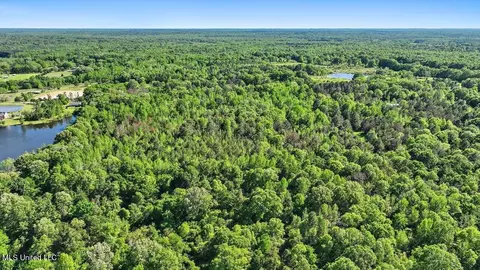 0 Worrell Rd, Utica, MS 39175 photo 10