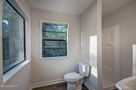 Bath - 102 Hickory Holw, Florence, MS 39073 photo 3 of 6