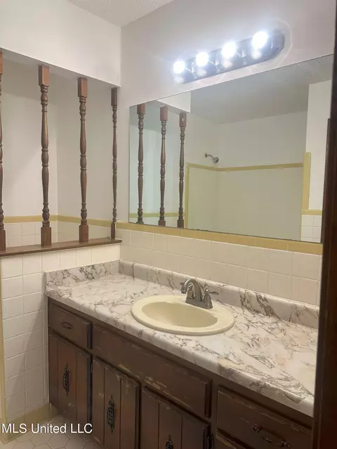 Bath - 1948 Tina Dr, Hernando, MS 38632 photo 1 of 3