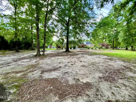 Exterior - 9809 Pine Trl, Vancleave, MS 39565 photo 10 of 11