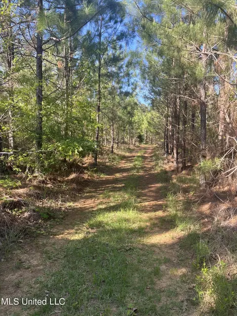 Us-51, Bogue Chitto, MS 39629 photo 9