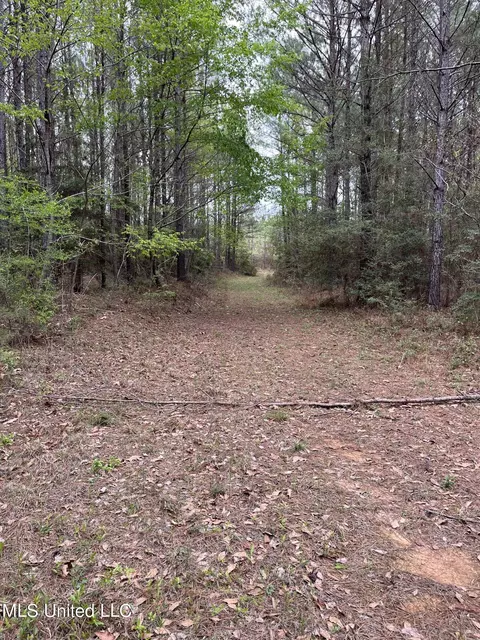 Us-51, Bogue Chitto, MS 39629 photo 21