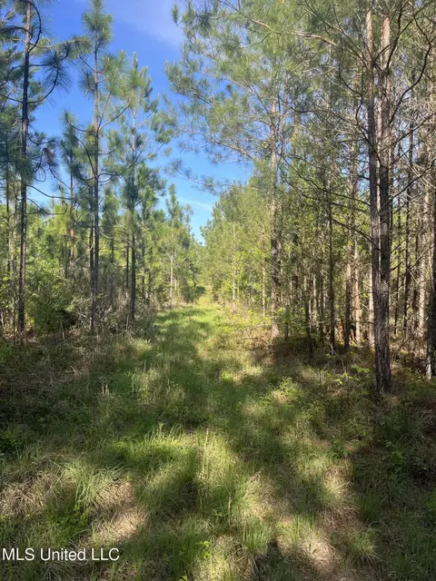 Us-51, Bogue Chitto, MS 39629 photo 14
