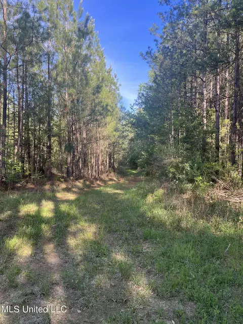 Us-51, Bogue Chitto, MS 39629 photo 15